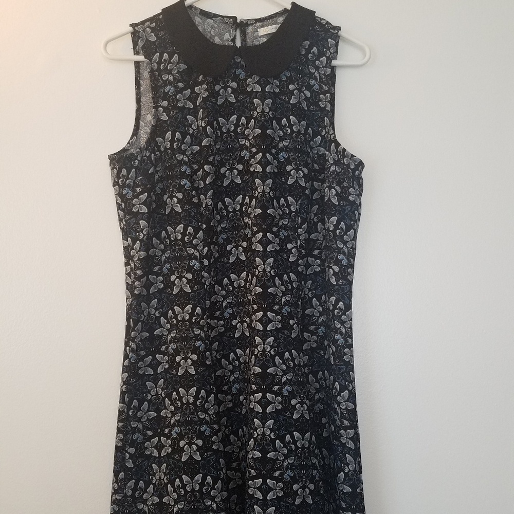Lauren Conrad Dress 10